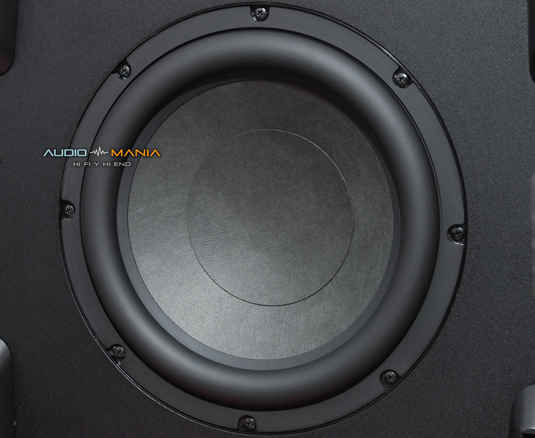 Klipsch SW 450 En Audio-Mania